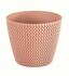 Cvetlični lonec SPLOFY breskev 15,7 cm