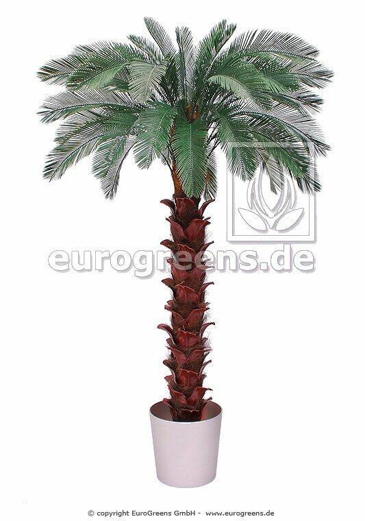 Cycas umetna dlan 300 cm