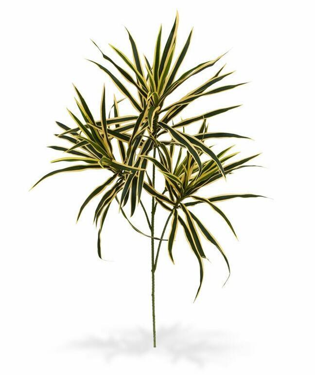 Dracena umetna rastlina 80 cm