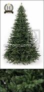 Umetna božična jelka Fir Nobilis Oxburgh 210 cm