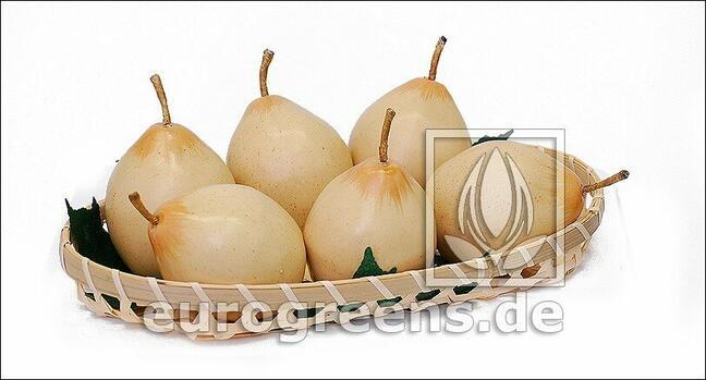 Umetna hruška Nashi