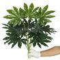 Umetna japonska Fatsia 50 cm