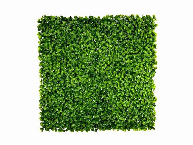 Umetna listna plošča Peperomia - 50x50 cm