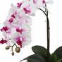 Umetna orhideja 43 cm