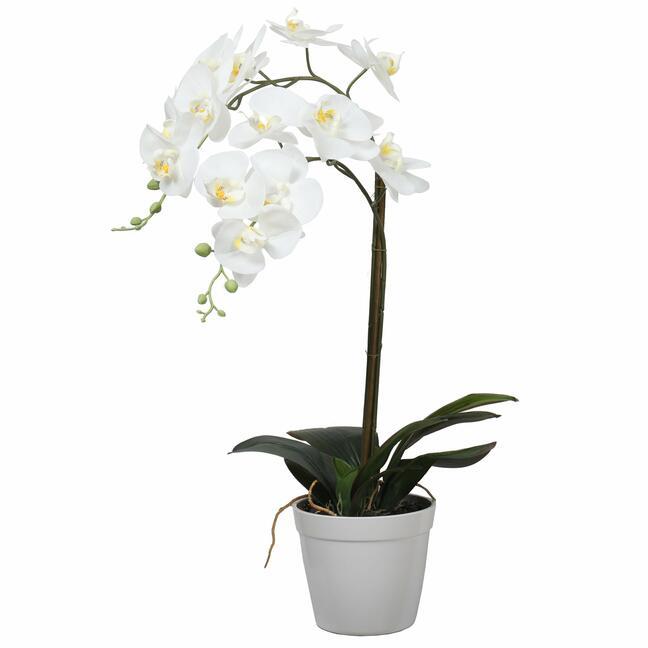 Umetna orhideja bela 65 cm