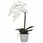 Umetna orhideja bela 65 cm