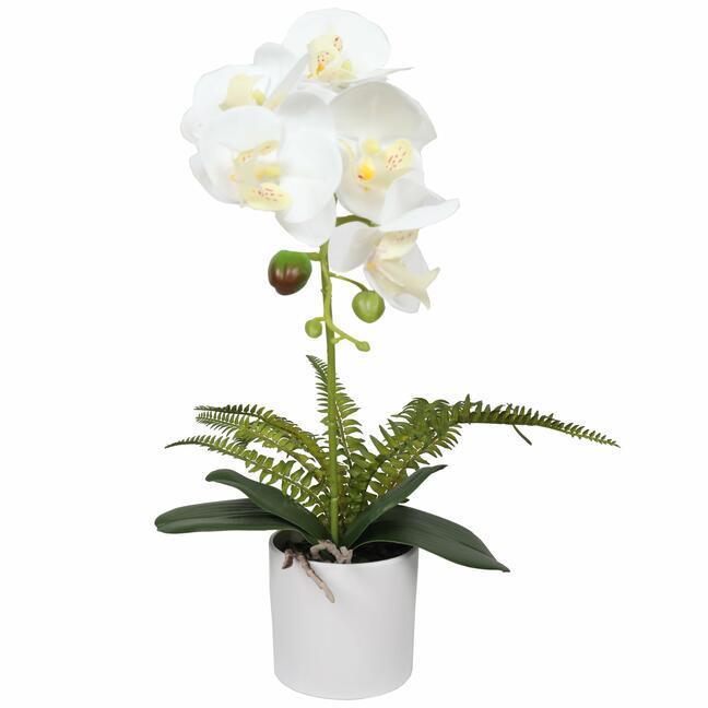 Umetna orhideja bela s praprotjo 37 cm