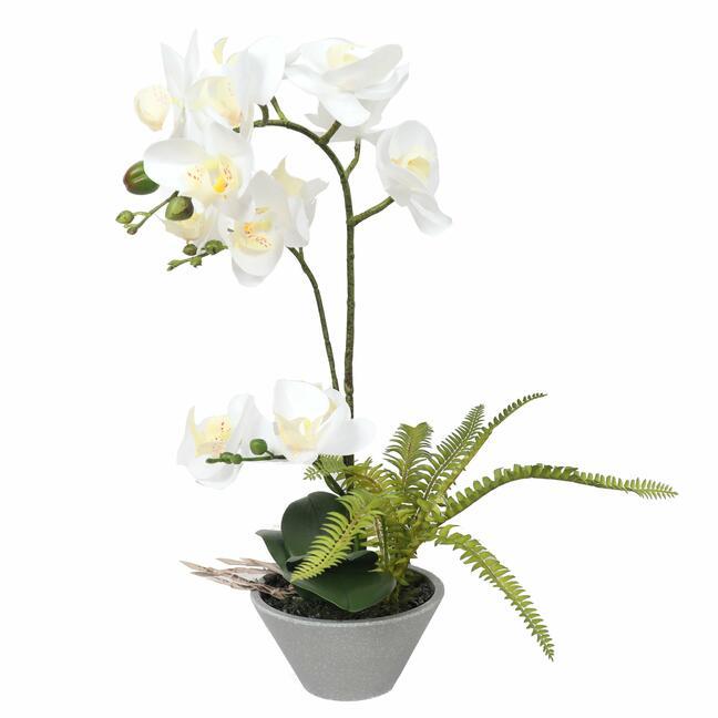 Umetna orhideja bela s praprotjo 43 cm