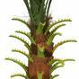 Umetna palma Datelnova palma 80 cm
