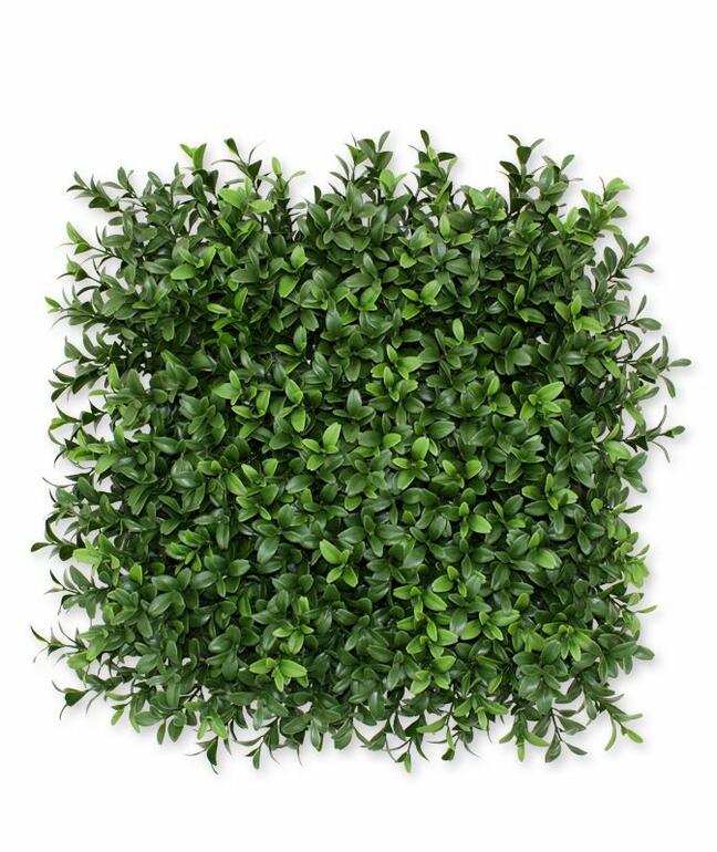 Umetna plošča Buxus - 25x25 cm