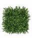 Umetna plošča Buxus - 25x25 cm