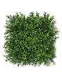 Umetna plošča Buxus - 25x25 cm