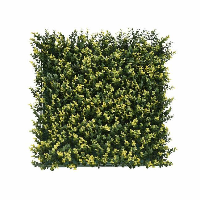 Umetna plošča Buxus - 50x50 cm