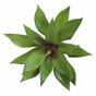 Umetna rastlina agava 16 cm