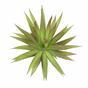 Umetna rastlina Agava bordo 20 cm