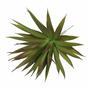 Umetna rastlina Agava bordo 20 cm