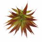 Umetna rastlina Agava rdeča 18 cm