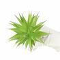 Umetna rastlina Agava zelena 18 cm