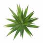 Umetna rastlina Agava zelena 20 cm