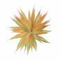 Umetna rastlina Agave oranžna 18 cm