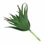 Umetna rastlina Aloe 13,5 cm