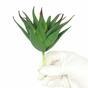 Umetna rastlina Aloe 13,5 cm