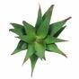 Umetna rastlina Aloe 13,5 cm