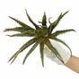 Umetna rastlina Aloe 27 cm
