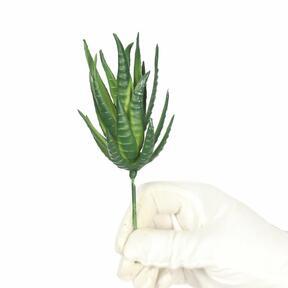 Umetna rastlina Aloe Vera 15 cm