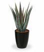 Umetna rastlina Aloe Vera 30 cm