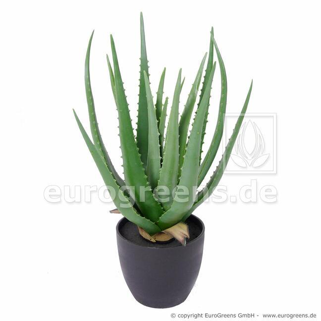 Umetna rastlina Aloe Vera 45 cm