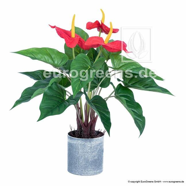 Umetna rastlina anthurium cveti 45 cm