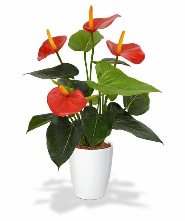 Umetna rastlina Anthurium rdeča 40 cm