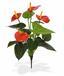Umetna rastlina Anthurium rdeča 40 cm