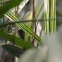 Umetna rastlina bambusa 70 cm