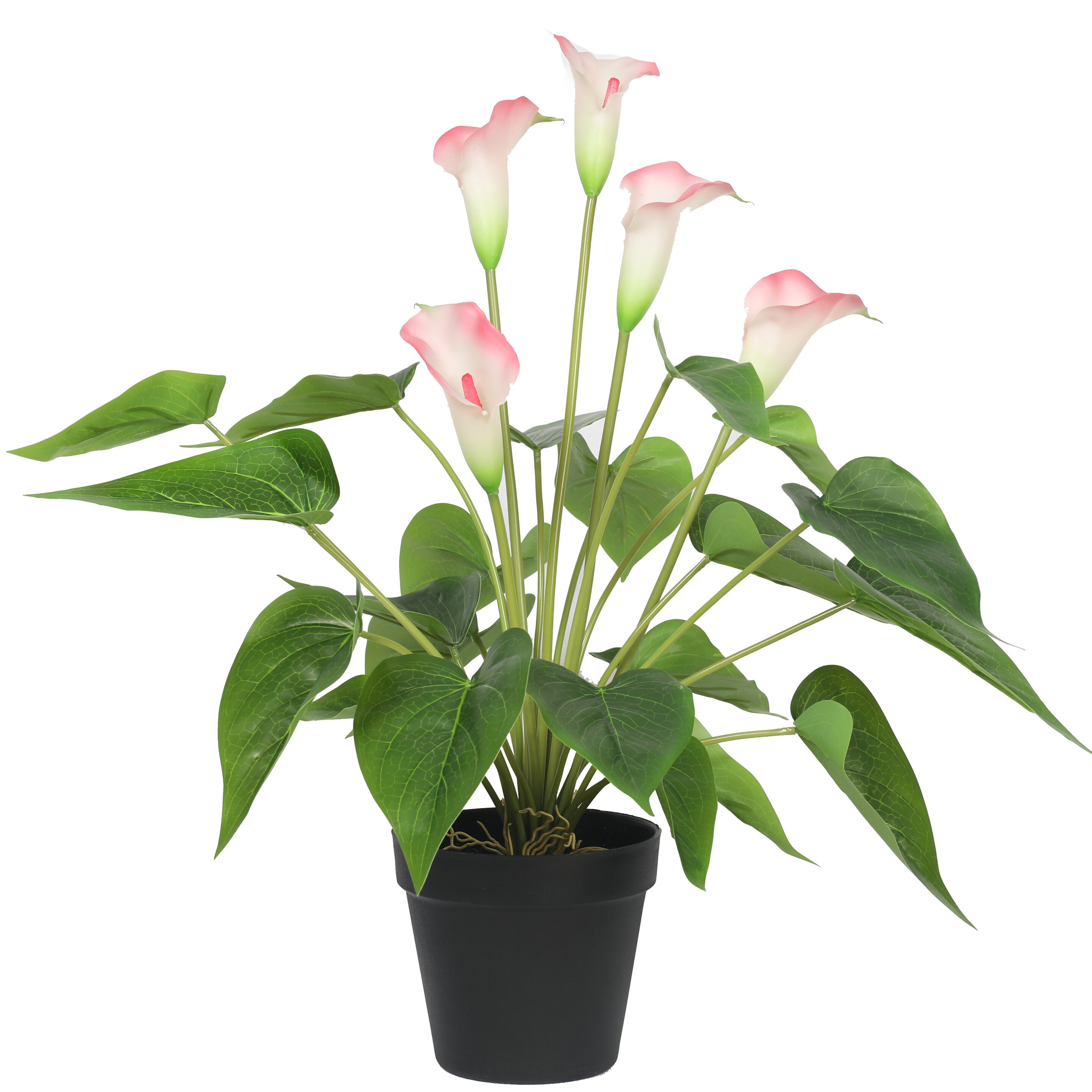 Umetna rastlina Belo-roza kala 50 cm