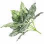 Umetna rastlina Calladium dvobarvna 50 cm