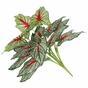 Umetna rastlina Calladium večbarvna 50 cm