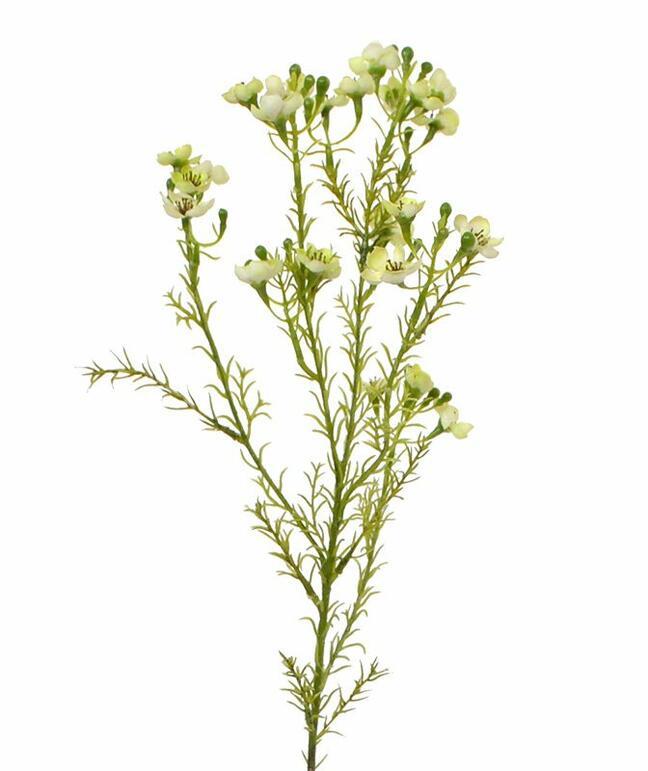 Umetna rastlina Chamelaucium uncinatum 65 cm