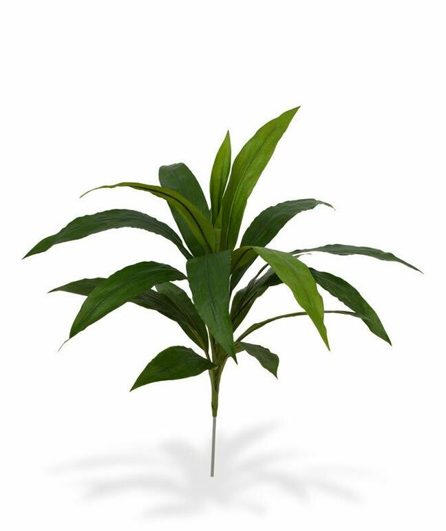 Umetna rastlina Dracena 60 cm