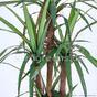 Umetna rastlina Dracena, obložena s 140 cm