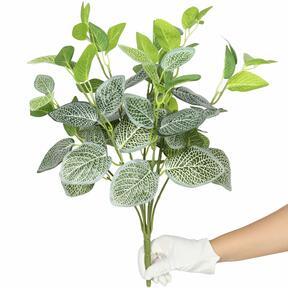 Umetna rastlina Fitónia bela 45 cm