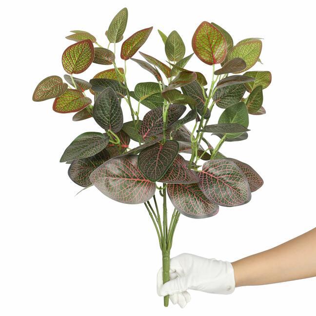 Umetna rastlina Fitonia rdeča 45 cm