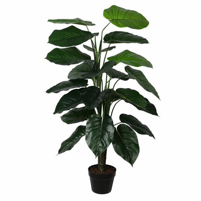 Umetna rastlina Fotografije 120 cm