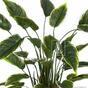 Umetna rastlina Hosta 50 cm