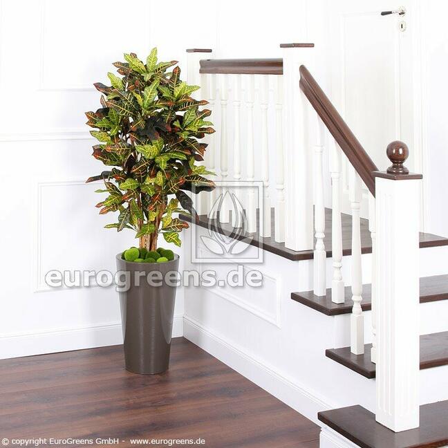 Umetna rastlina Krotönec 190 cm