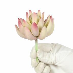Umetna rastlina Lotus Echeveria 10 cm