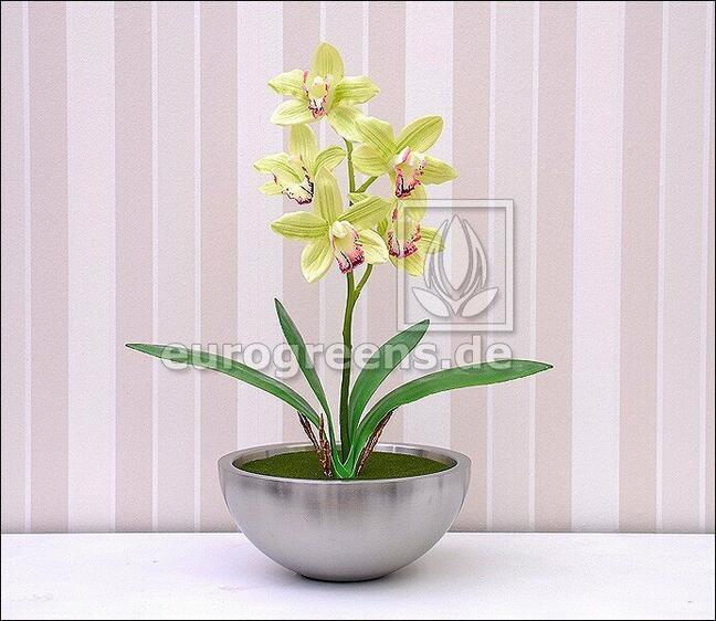 Umetna rastlina Orchidea Cymbidium svetlo zelena 50 cm