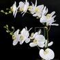 Umetna rastlina Orhideja bela 65 cm
