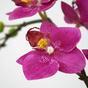 Umetna rastlina Orhideja vijolična 50 cm